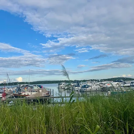 Weidenkoerbchen Am Wasser In Havel Werder