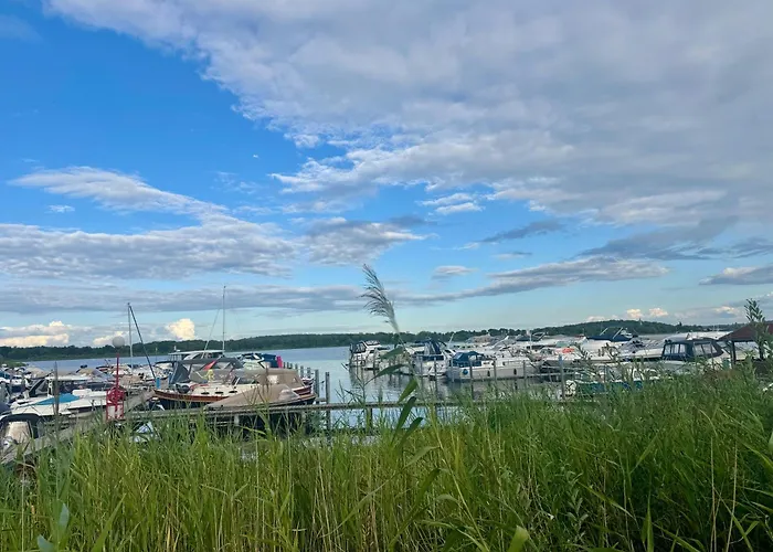 Weidenkoerbchen Am Wasser In Havel Werder (Havel)